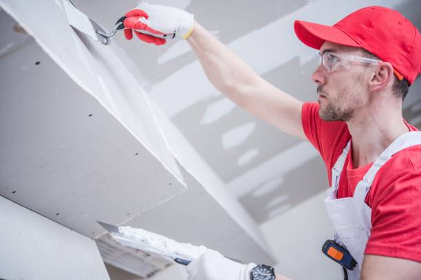 Mold Documentation for Insurance Claims in Ashtabula, OH